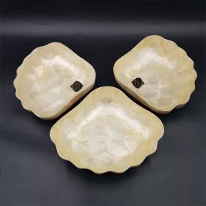 Aperitive serving set bowls and coasters mother of pearl vintage France