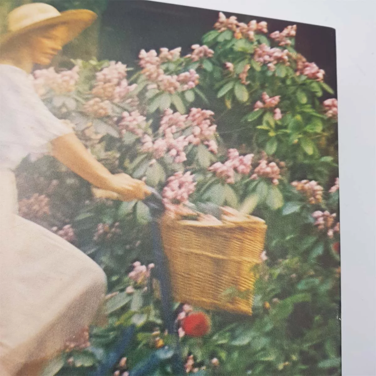 Rare puzzle 1500pcs sealed bag Ref Ravensburger 62556544 David Hamilton Girl on a bicycle 1977