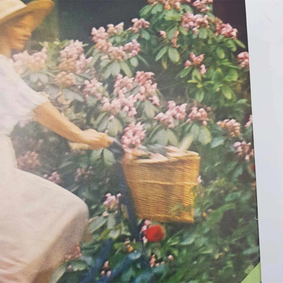 Rare puzzle 1500pcs sealed bag Ref Ravensburger 62556544 David Hamilton Girl on a bicycle 1977