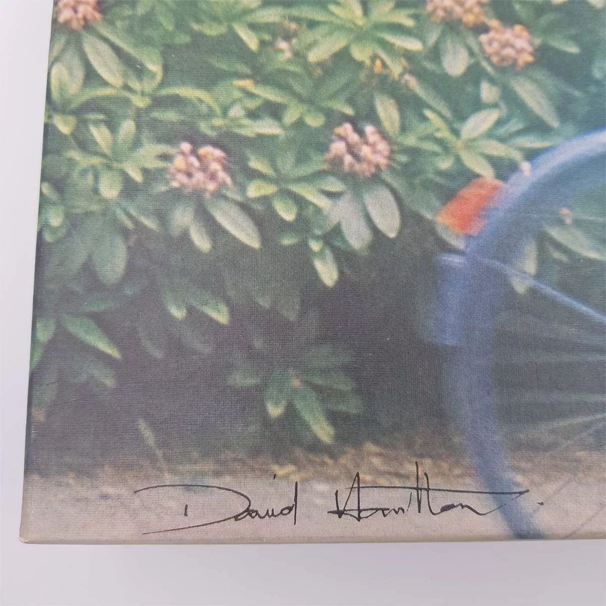 Rare puzzle 1500pcs sealed bag Ref Ravensburger 62556544 David Hamilton Girl on a bicycle 1977